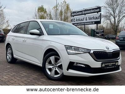 Usata Skoda Scala Ambition 116 CV (85 kW) 2019 Bianco Utilitaria