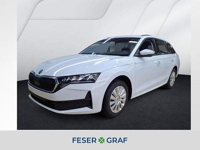 Gebraucht Skoda Octavia Essence 116 PS (85 kW) 2025 Weiß Kombi