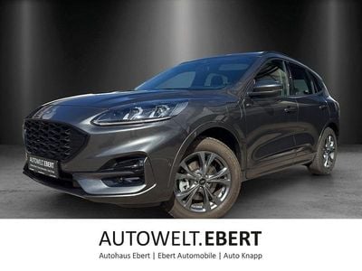 Gebraucht Ford Kuga ST-Line X 224 PS (164 kW) 2022 Grau SUV
