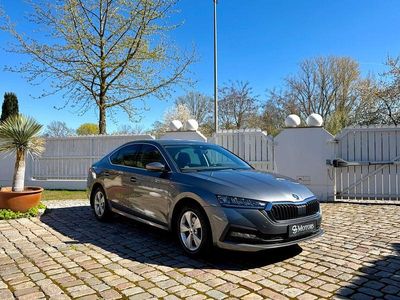 Gebraucht Skoda Octavia Ambition 150 PS (110 kW) 2023 Grau Limousine