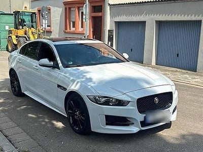 Usata Jaguar XE R-Sport 180 CV (132 kW) 2017 Bianco Berlina