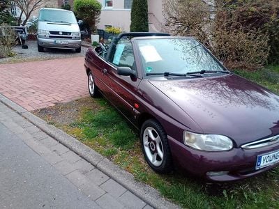 Gebraucht Ford Escort Cabriolet Ghia 90 PS (66 kW) 1998 Violet Cabrio