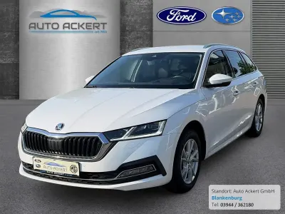 Gebraucht Skoda Octavia Style 116 PS (85 kW) 2023 Weiss Kombi