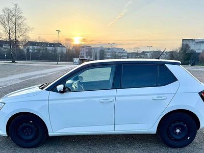 Gebraucht Skoda Fabia Cool Plus 75 PS (55 kW) 2019 Weiß Kleinwagen
