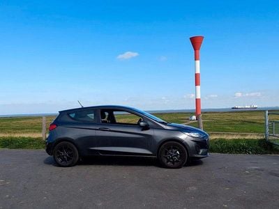 Gebraucht Ford Fiesta Trend 75 PS (55 kW) 2022 Grau Kleinwagen