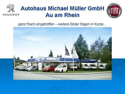 gebraucht Fiat Panda 1.2 69 PS, Klima, Allwetter