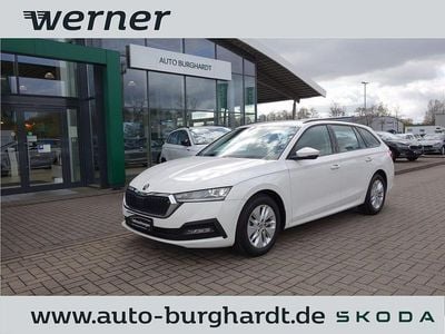 Usata Skoda Octavia Ambition 111 CV (81 kW) 2022 Bianco Station wagon