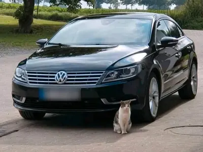Second-hand VW CC 177 CP (130 kW) 2014 Negru Berlinǎ