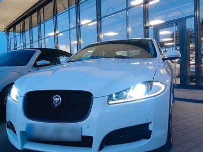 Gebraucht Jaguar XF R-Sport 190 PS (139 kW) 2013 Weiß Limousine