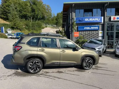 Gebraucht Subaru Forester