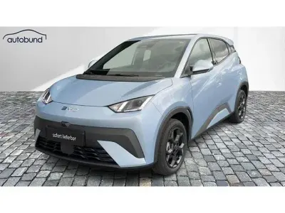 Gebraucht BYD Dolphin Surf