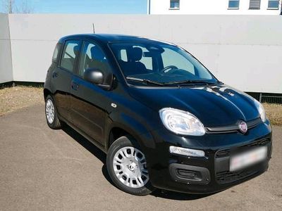 Gebraucht Fiat Panda 70 PS (51 kW) 2025 Schwarz Kleinwagen