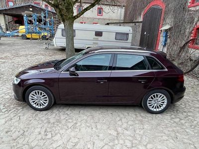 Gebraucht Audi A3 Attraction 150 PS (110 kW) 2014 Violet Limousine