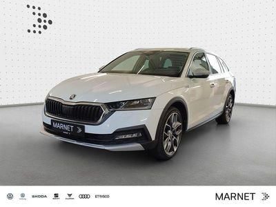 Gebraucht Skoda Octavia Scout 4x4 190 PS (139 kW) 2022 Moonweiß perleffekt Kombi