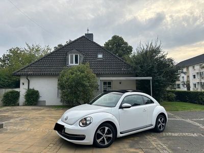 VW Beetle