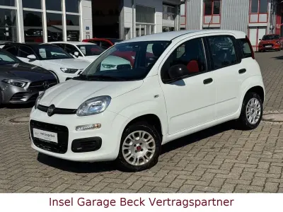 Gebraucht Fiat Panda 69 PS (50 kW) 2020 Weiß Kleinwagen