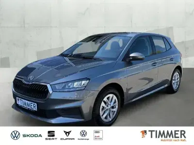 Gebraucht Skoda Fabia Active 95 PS (69 kW) 2022 Grau Kleinwagen