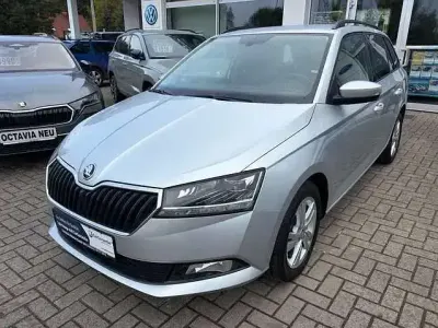 Gebraucht Skoda Fabia Style 110 PS (80 kW) 2020 Brilliantsilber metallic Kleinwagen