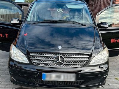 Mercedes Viano