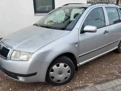 Usata Skoda Fabia
