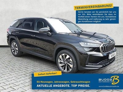 Graphitegrau metallic Neu 2025 Skoda Kodiaq Selection SUV | 39.980 € (Guter Preis)