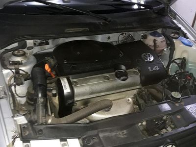 VW Polo