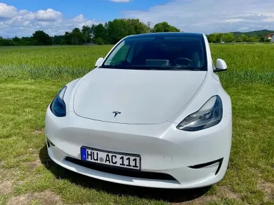 Occasion Tesla Model Y Performance 320 kW (436 PK) 2022 Wit SUV