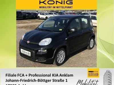 Gebraucht Fiat Panda 69 PS (50 kW) 2024 Schwarz Kleinwagen