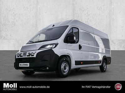 Neu Fiat Ducato 140 PS (102 kW) 2026 Weiss Van