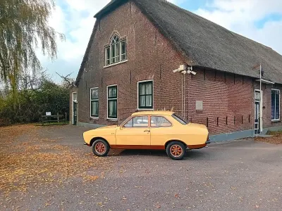 Gebraucht Ford Escort 1974 Kleinwagen