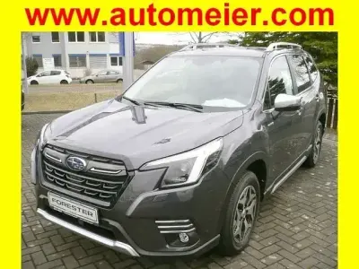 Occasion Subaru Forester Comfort 150 ch (110 kW) 2022 Beige SUV