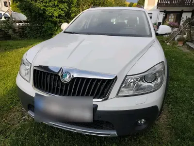 Gebraucht Skoda Octavia Scout Scout 4x4 140 PS (102 kW) 2026 Weiß Kombi