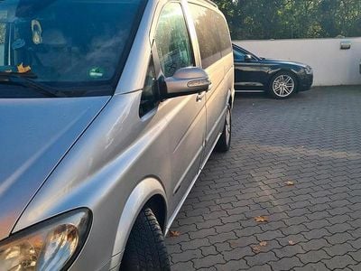 Mercedes Viano
