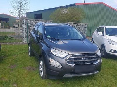 Usata Ford Ecosport 125 CV (91 kW) 2020 Grigio SUV