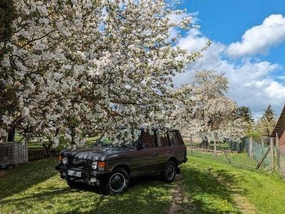 Gebraucht Land Rover Range Rover Classic 182 PS (133 kW) 1993 Grau SUV