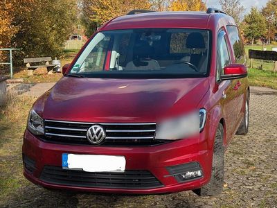 Rot Gebraucht 2017 VW Caddy Maxi Comfortline Van / Kleinbus | 21.999 € (Guter Preis)