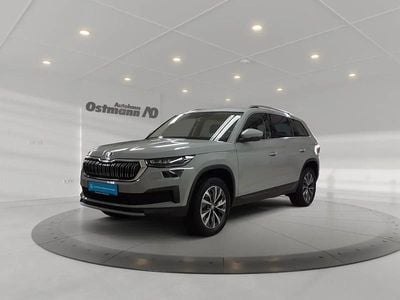 Blau Gebraucht 2024 Skoda Kodiaq Style SUV | 41.825 € (Fairer Preis)