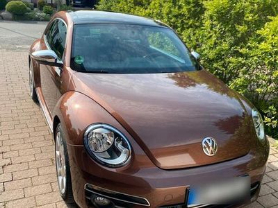 VW Beetle