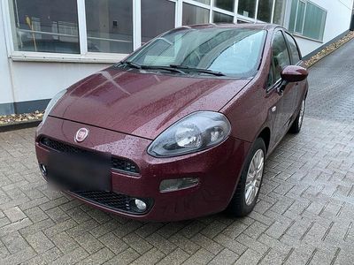 Gebraucht Fiat Punto Lounge 75 PS (55 kW) 2013 Rot Kleinwagen