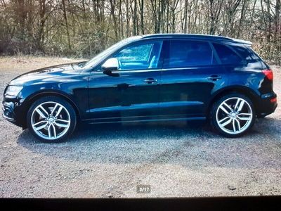 gebraucht Audi SQ5 Black Edition