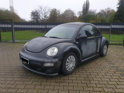 VW Beetle
