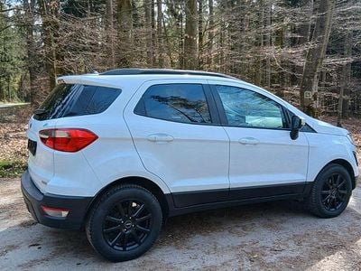 Gebraucht Ford Ecosport 125 PS (91 kW) 2018 Weiß SUV