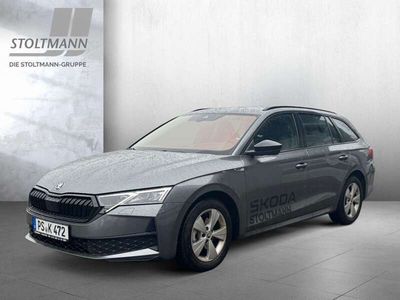 Grau Gebraucht 2024 Skoda Octavia SportLine Kombi | 42.090 €