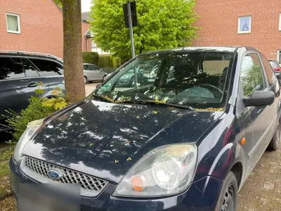 Gebraucht Ford Fiesta