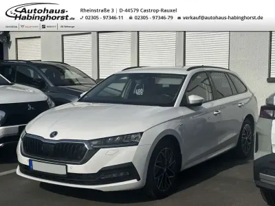 Gebraucht Skoda Octavia Clever 150 PS (110 kW) 2023 Weiss Kombi