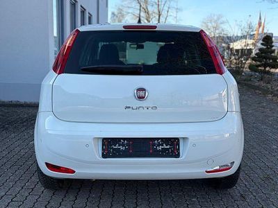 Gebraucht Fiat Punto Young 69 PS (50 kW) 2016 Weiß Kleinwagen