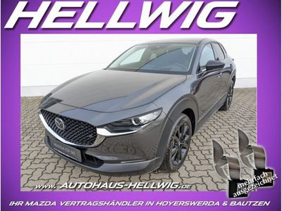 gebraucht Mazda CX-30 2.0l (150PS) Homura Kamera Navi NEU 2024