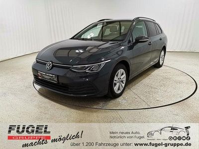 Gebraucht VW Golf VIII Life 150 PS (110 kW) 2022 Delfingrau metallic Kombi