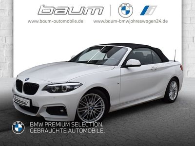 gebraucht BMW 220 i Cabrio M Sportpaket HK HiFi DAB WLAN RFK