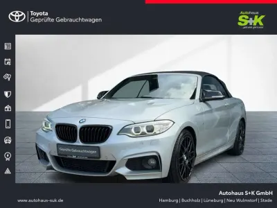 Gebraucht BMW 220 M Sport 184 PS (135 kW) 2016 Glaciersilber metallic (silber) Cabrio